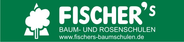 Fischer